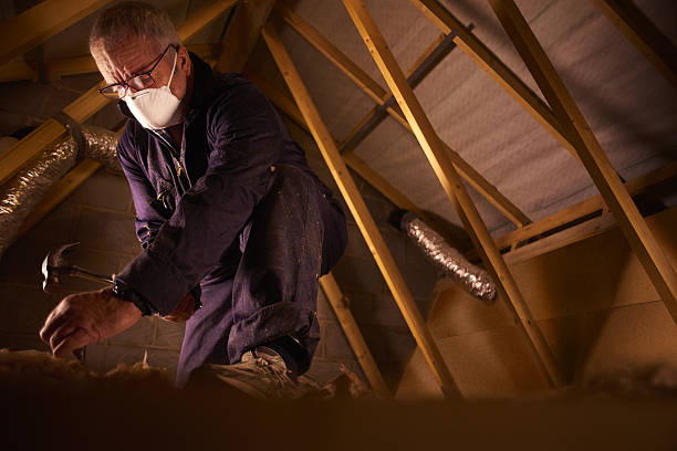 Best DIY Insulation Kits and Guidance in Four Oaks, NC